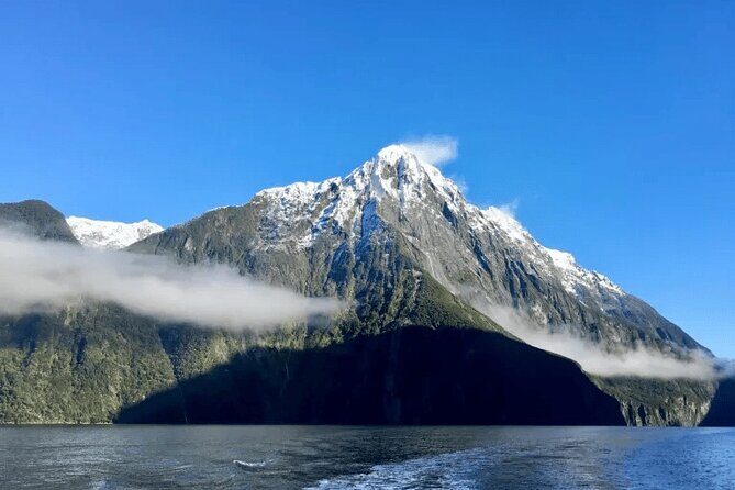 Milford Sound Tour from Queenstown with Scenic Cruise - Who Will Love This Tour?
