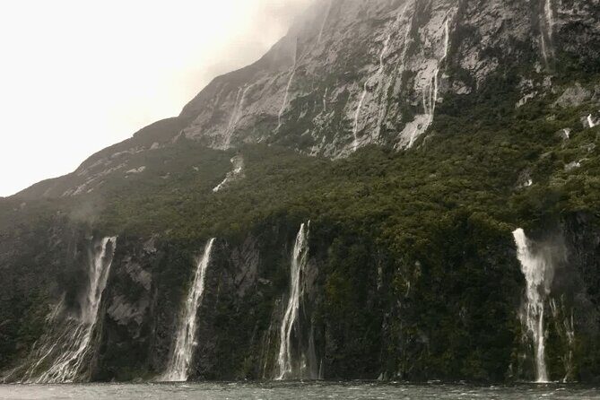 Milford Sound Tour from Queenstown with Scenic Cruise - The Sum Up