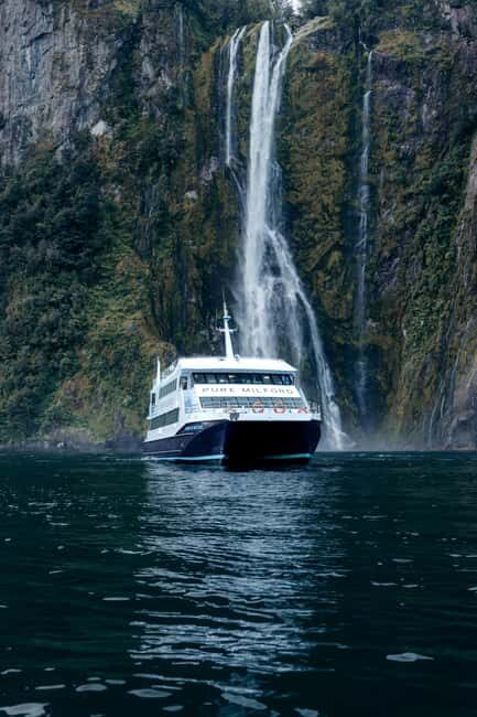 Milford Sound: Waterfalls, Wildlife, and Rainforest Cruise - Why Choose This Milford Sound Cruise?  