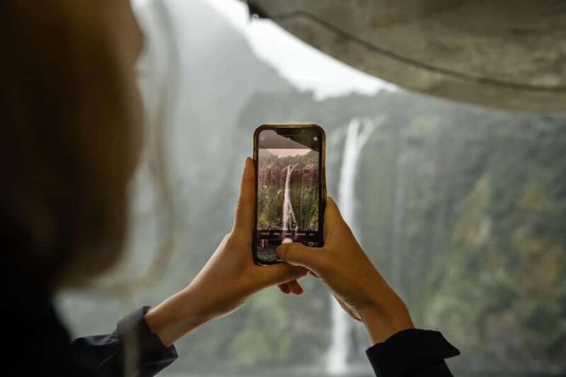 Milford Sound: Wildlife & Nature Cruises - Key Points