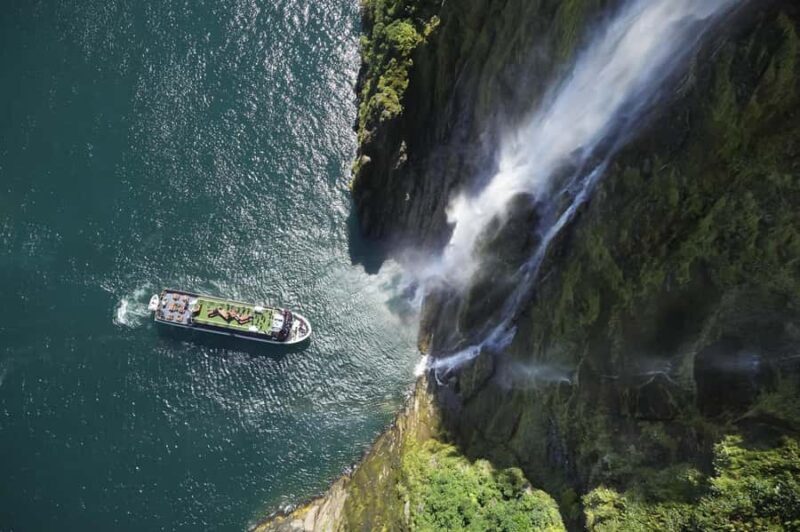 Milford Sound: Wildlife & Nature Cruises - FAQs