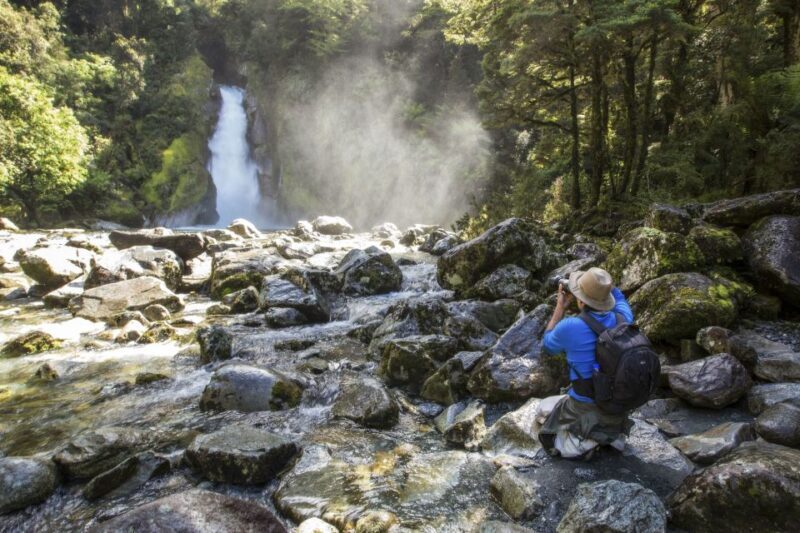 Milford Track: Full Day Guided Hike and Nature Cruise - An Overview of the Milford Sound Experience