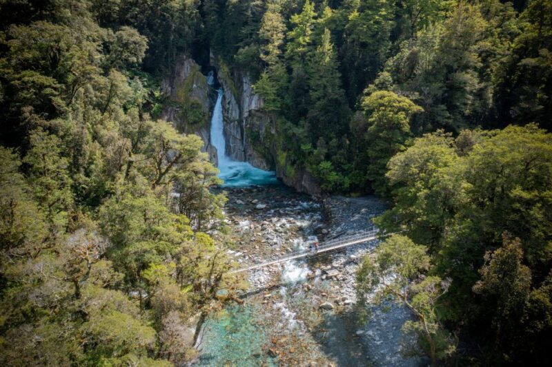 Milford Track: Full Day Guided Hike and Nature Cruise - Whats Included and Whats Not