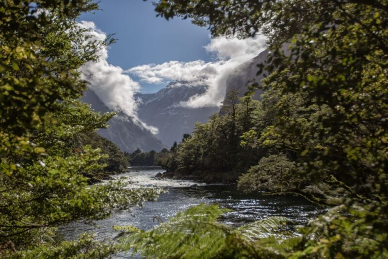 Milford Track: Full Day Guided Hike and Nature Cruise - Practical Tips for Making the Most of the Tour