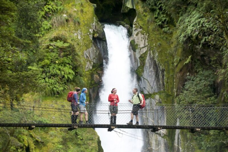 Milford Track: Full Day Guided Hike and Nature Cruise - The Sum Up