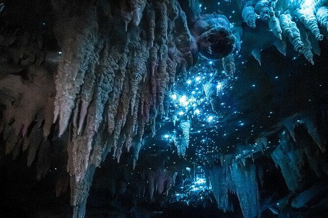 Milky Way Glowworm Cave Tour - Discover the Magic of the Milky Way Glowworm Cave Tour
