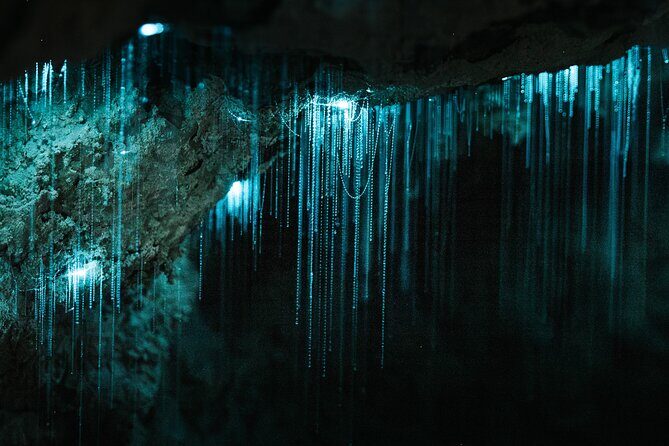 Milky Way Glowworm Cave Tour - Key Points