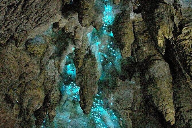 Milkyway Glowworm Cave Tour from Auckland Port - FAQ