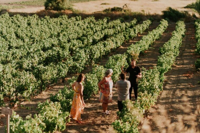 milos-island-kostantakis-winery-wine-tasting-experience