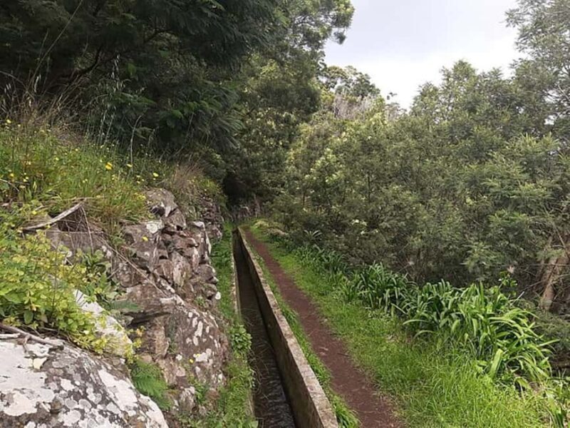 Mimosa Valley Trail: Explore Maroços - Final Reflection