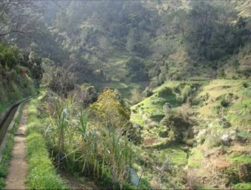 Mimosa Valley Trail: Explore Maroços - FAQs