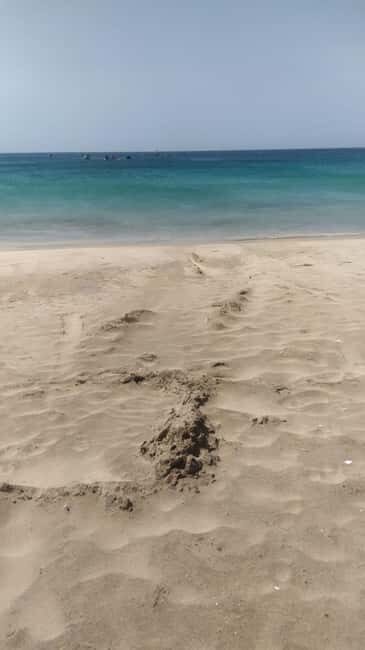Mindelo: Sea Breeze Walk passing between the volcanoes - Introduction to the Sea Breeze Walk Experience