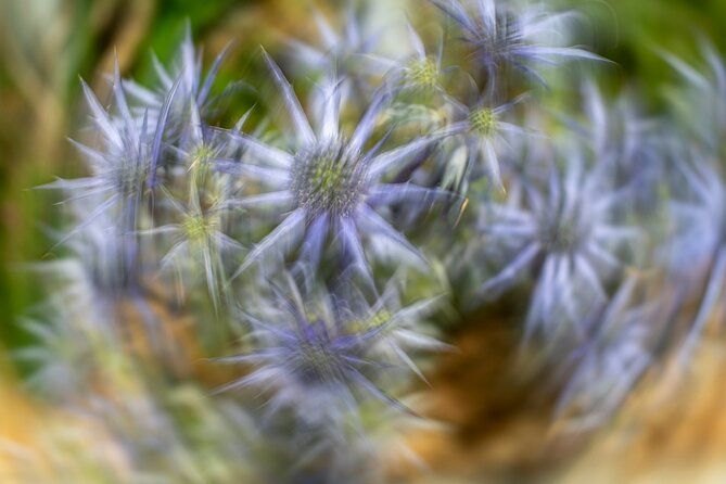mindful-photo-walk-at-princess-pavilion-gyllyngdune-gardens