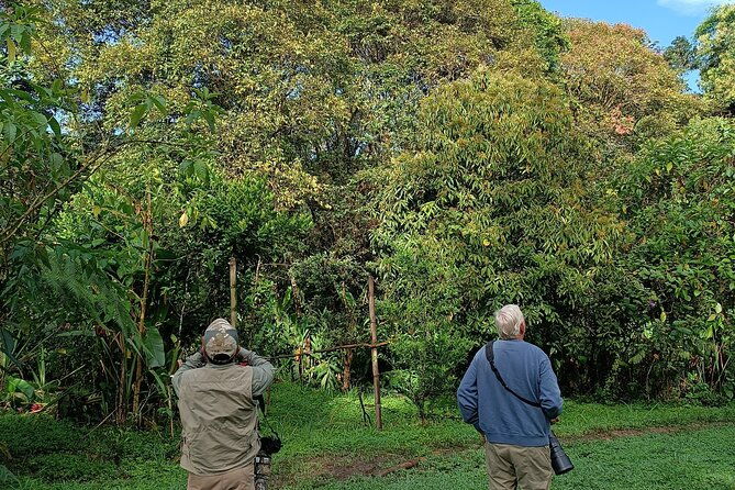 mindo-cloud-forest-birding-and-naturalist-tour