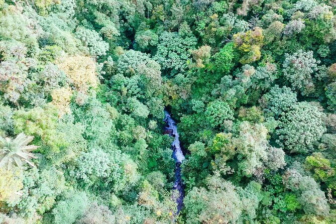 mindo-cloud-forest-full-day-tour-from-quito