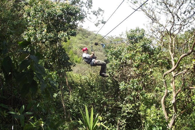 mindo-cloud-forest-private-day-trip-from-quito