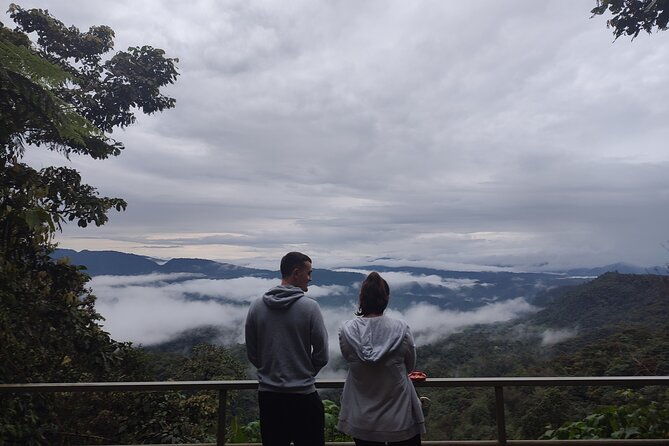 mindo-cloud-forest-private-tour-birdwatching-birds-nature