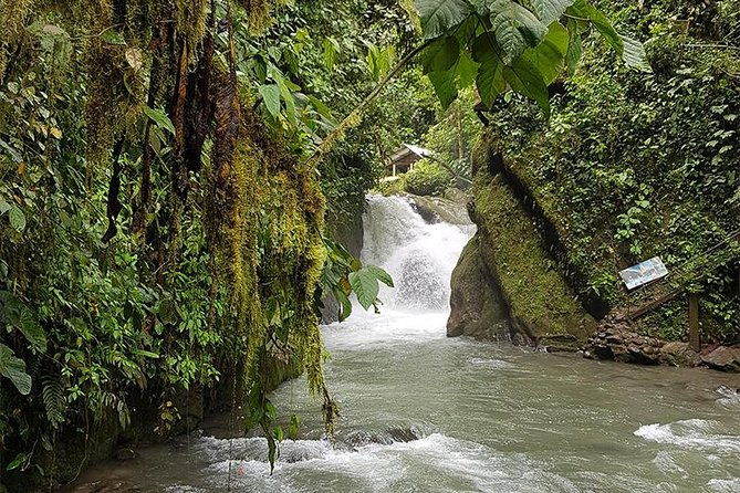 mindo-tour-and-middle-of-the-world-from-quito