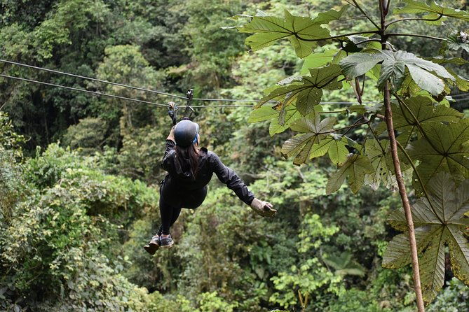 mindo-ziplines-tours-canopy-tour-zip-line