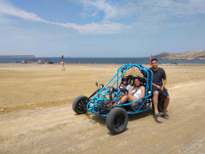 mini-buggy-go-kart-in-paracas-national-reserve