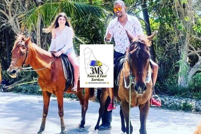 mini-day-private-customized-island-tours