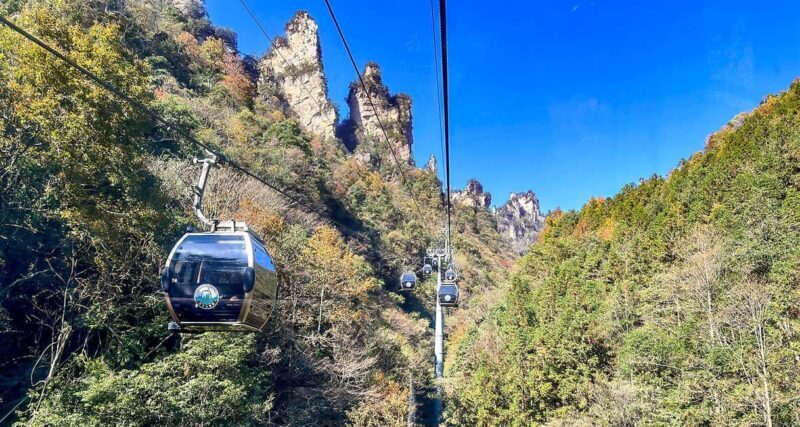 Mini Group Tour: Zhangjiajie Forest Park & Avatar Mountains - Key Points