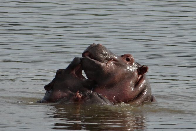 Mini Safari and Zulu Cultural experience - Day Tour - The Value of the Tour