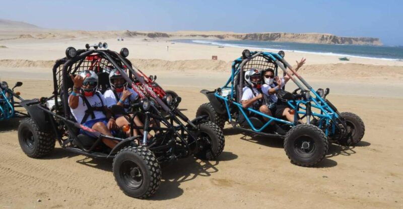 minibuggy-adventure-and-visit-to-the-paracas-reserve
