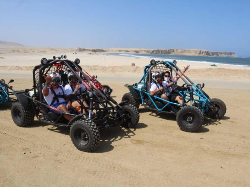 minibuggy-adventure-and-visit-to-the-paracas-reserve