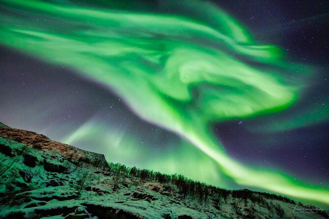 minivan-northern-lights-excursion-8-guests-per-minivan