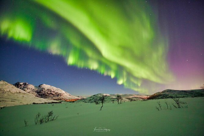 minivan-northern-lights-excursion-8-guests-per-minivan