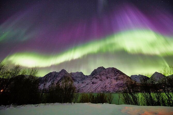 minivan-northern-lights-excursion-8-guests-per-minivan