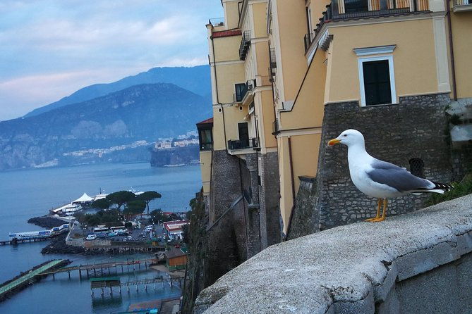 minivan-tour-positano-sorrento-and-pompeii-whit-local-driver