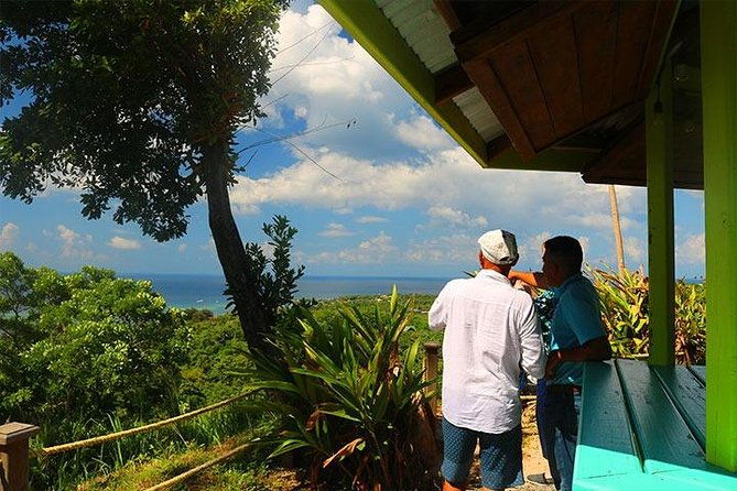 minivan-with-local-guide-3-6-guests-private-tour