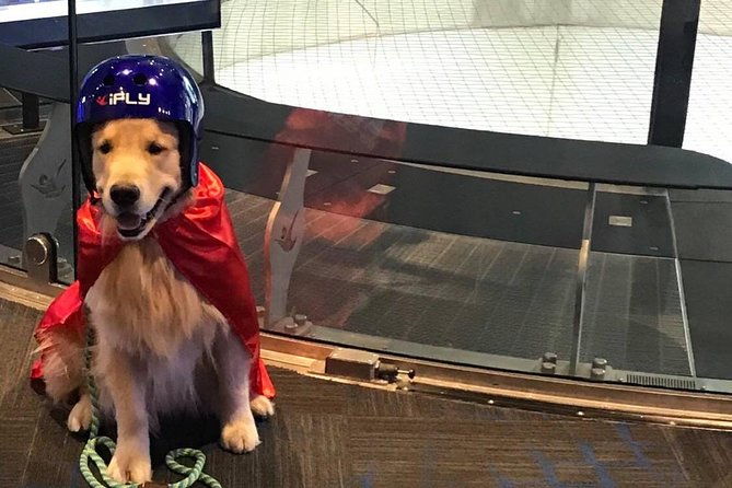 minneapolis-indoor-skydiving-admission-with-2-flights-personalized-certificate