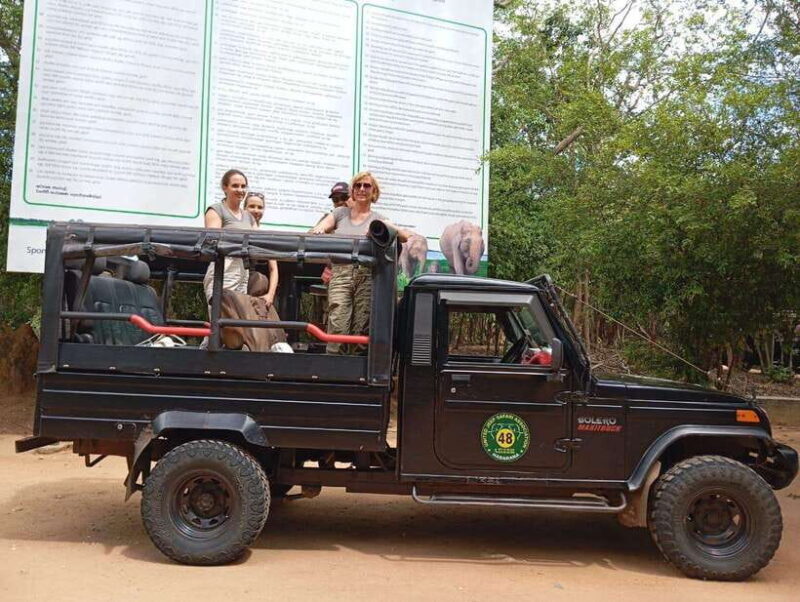Minneriya: Elephant Safari at Minneriya Park - Hotel Pickup - Who Would Love This Tour?