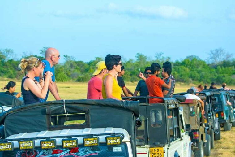 minneriya-half-day-elephant-safari-largest-gathering
