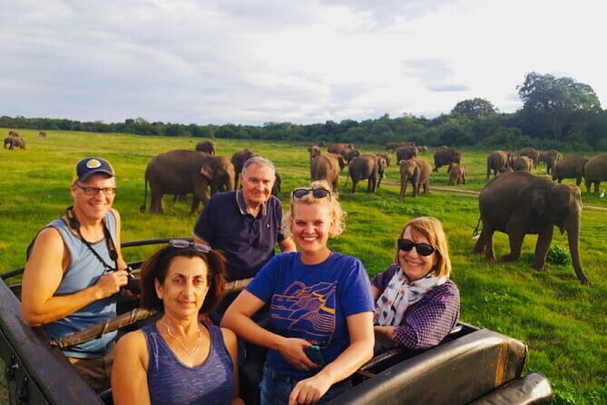 Minneriya Half Day Safari Tour - Key Points