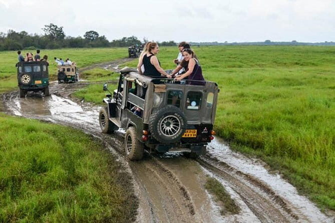 Minneriya/Kaudulla or Hurulu Eco Park Jeep Safari including Entrance Fee - Key Points