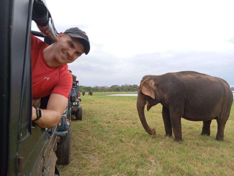 minneriya-minneriya-national-park-jeep-safari-with-pickup