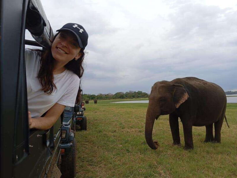 minneriya-minneriya-national-park-jeep-safari-with-pickup