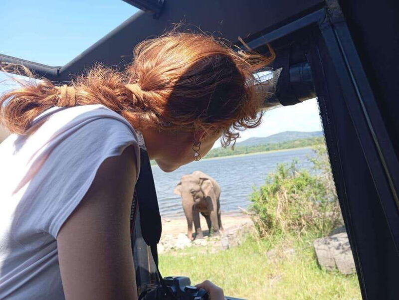 minneriya-minneriya-national-park-jeep-safari-with-pickup