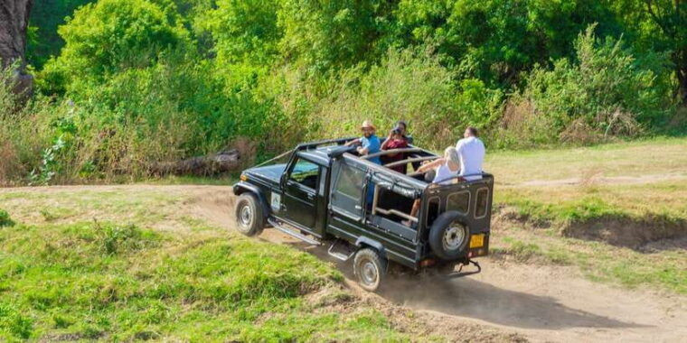 minneriya-minneriya-national-park-private-safari