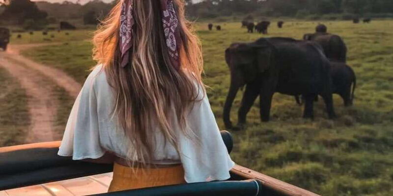 minneriya-minneriya-national-park-private-wildlife-tour