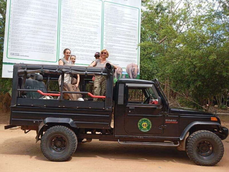 minneriya-morning-jeep-safari-with-hotel-pickup-and-drop-of