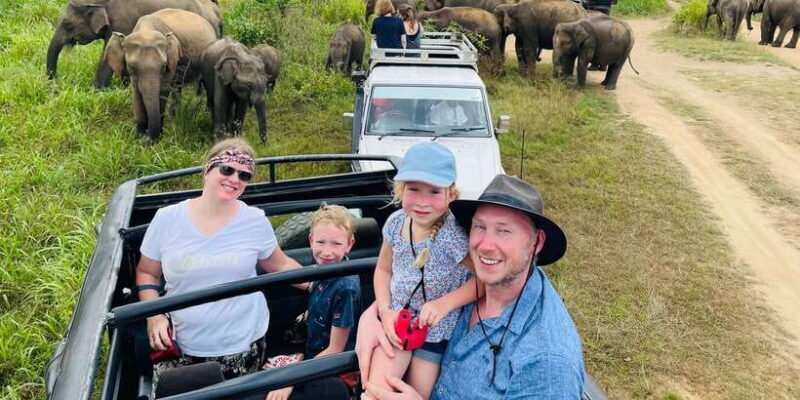 Minneriya National Park 4x4 jeep Safari Include Entrance Fee - An In-Depth Look at the Minneriya National Park Safari