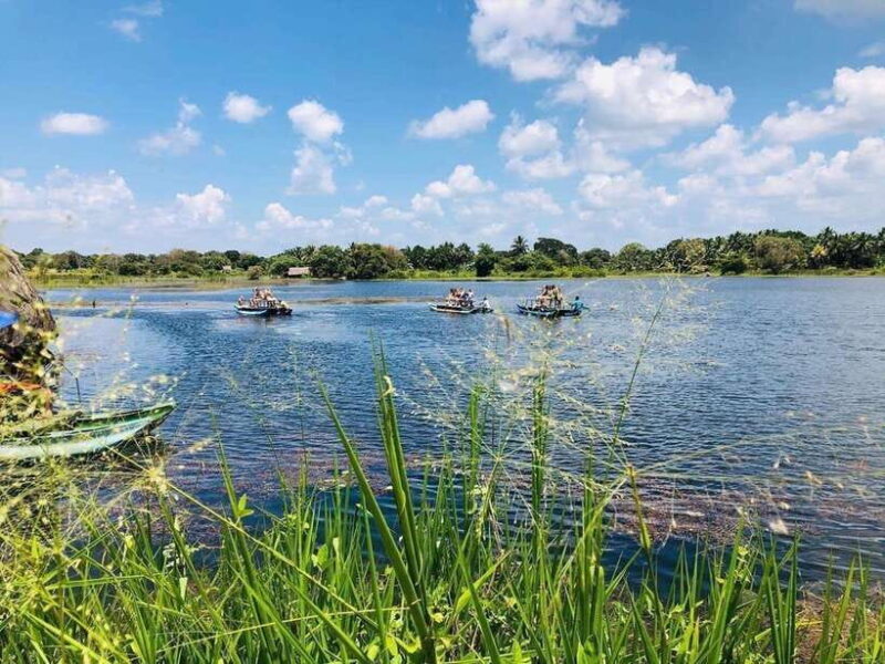 Minneriya National Park 4x4 Safari Wild Elephant Experience - Introduction