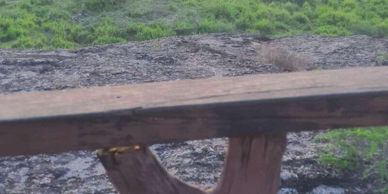 minneriya-national-park-elephant-safari-by-4x4-jeep