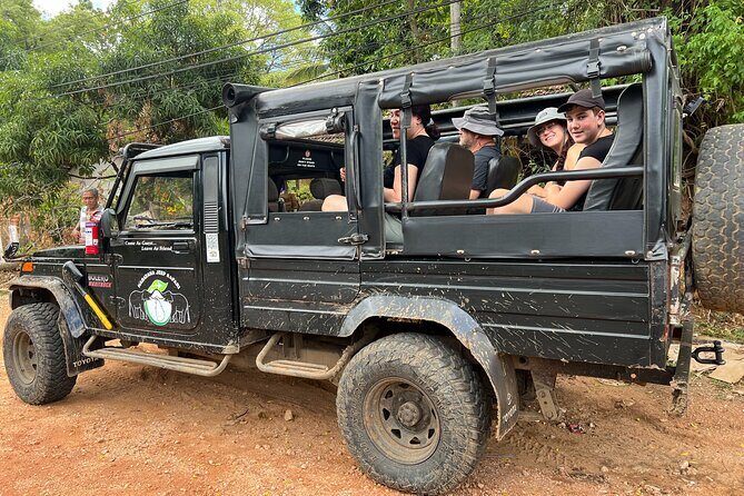 Minneriya National Park Elephant Safari Tour - The Sum Up: Why This Tour Is a Good Choice