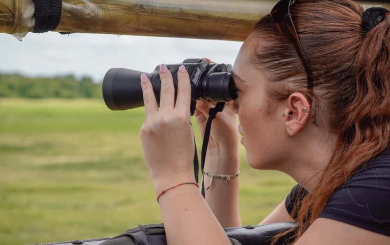 Minneriya National Park: Elephant Safari With Expert Guide - What Travelers Are Saying